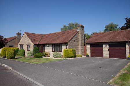 Front Aspect