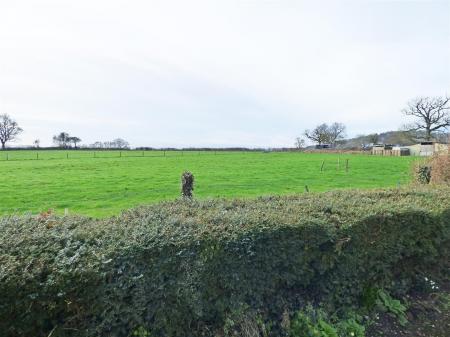 Garden View (2)