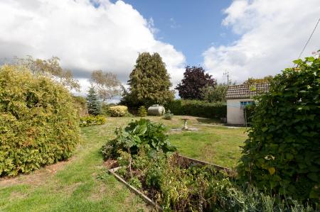 Garden (2)