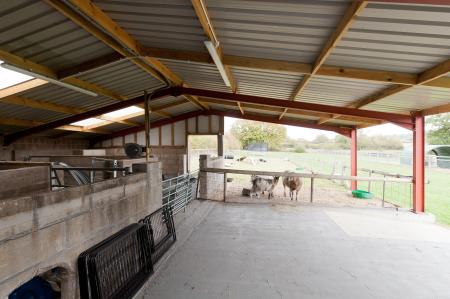 Barn (2)