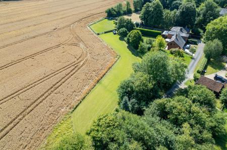 image29