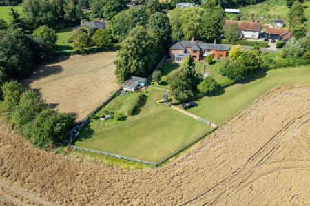 image25