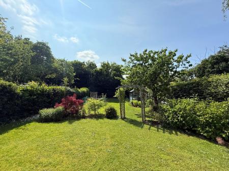 image23