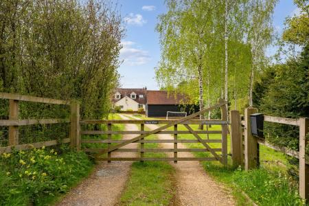 image25