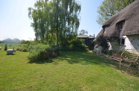 image14