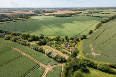 image26