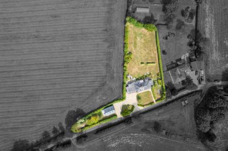 image29