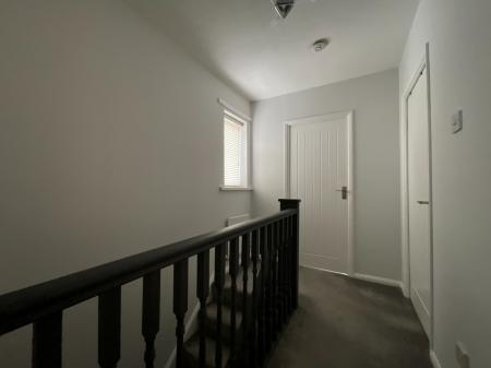 Media image 15