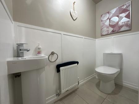 Media image 11