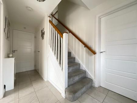 Media image 12