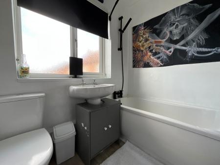 Media image 15