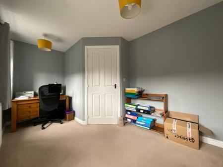 Media image 11