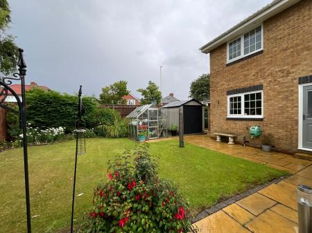 Media image 29
