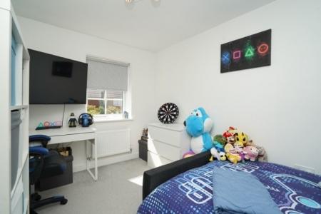 Media image 13