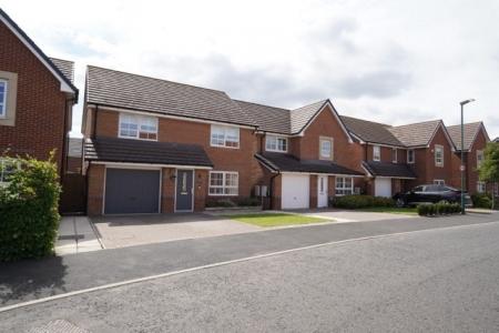 Media image 27