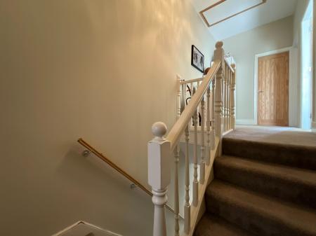 Media image 13