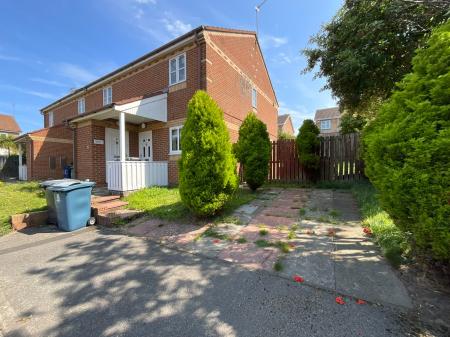Media image 12