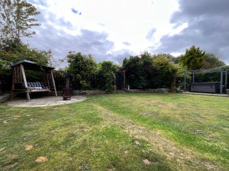 Media image 29