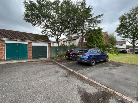 Media image 28