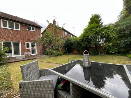 Media image 24