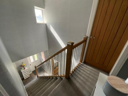 Media image 13
