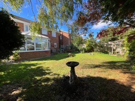 Media image 20