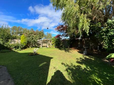 Media image 21