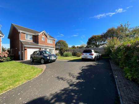 Media image 23