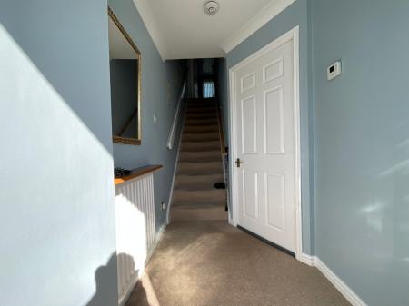 Media image 11
