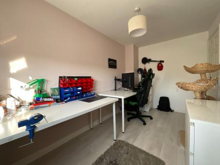 Media image 13