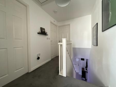 Media image 10