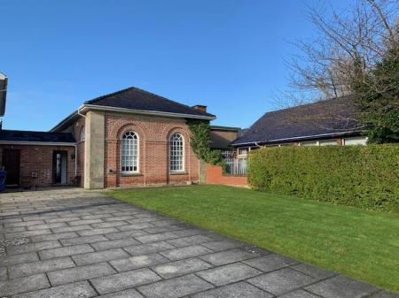 rear yard 2.jpg