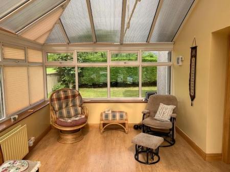 sun room.jpg