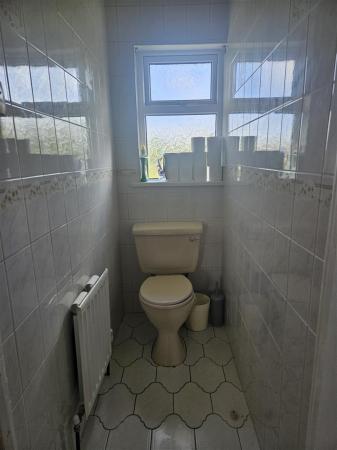 1000015386.jpg
