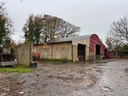 IMG_7530 - Edited.jpg