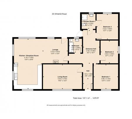 35 Whitehill Road Floor Plan.jpg