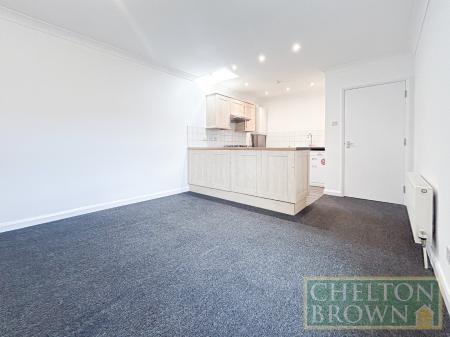Kitchen/Living Room