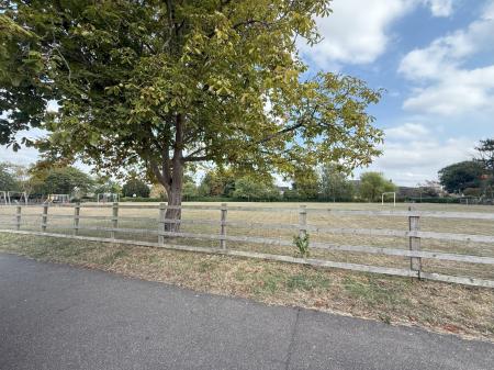 Playing Field