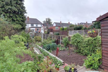 Vegetable Plot