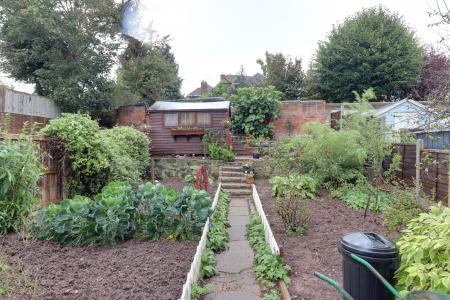 Vegetable Plot