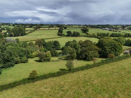 Rural View