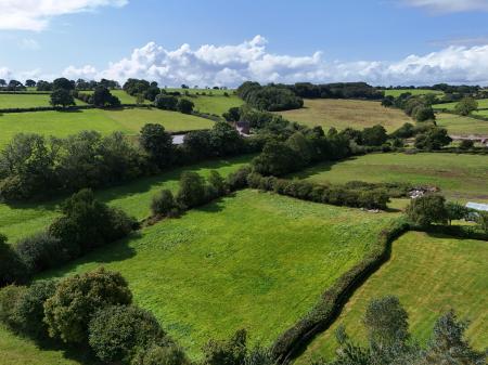 Rural View