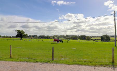 Neighbouring Paddocks