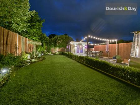 Garden at Night