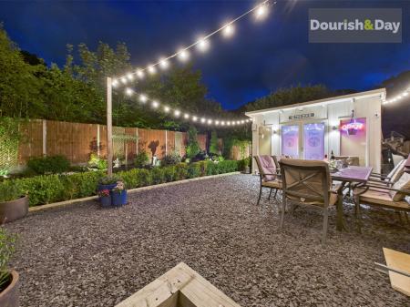 Garden at Night
