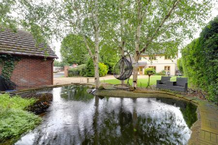 Garden Pond/Carp Pool