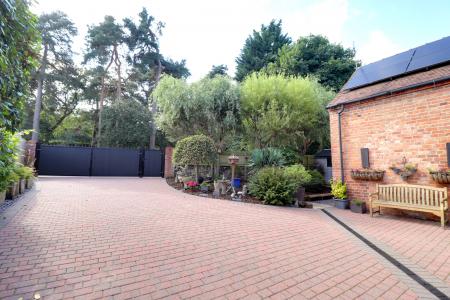 Driveway & Front Garden