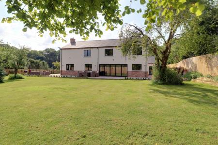 Rear Garden & Elevation