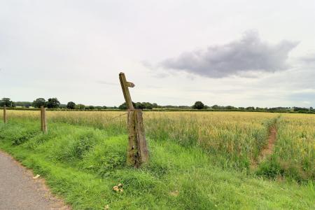 Open Country Walks