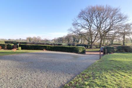 Front Garden & Driveway